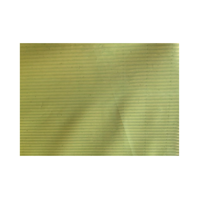Vacuum Bag