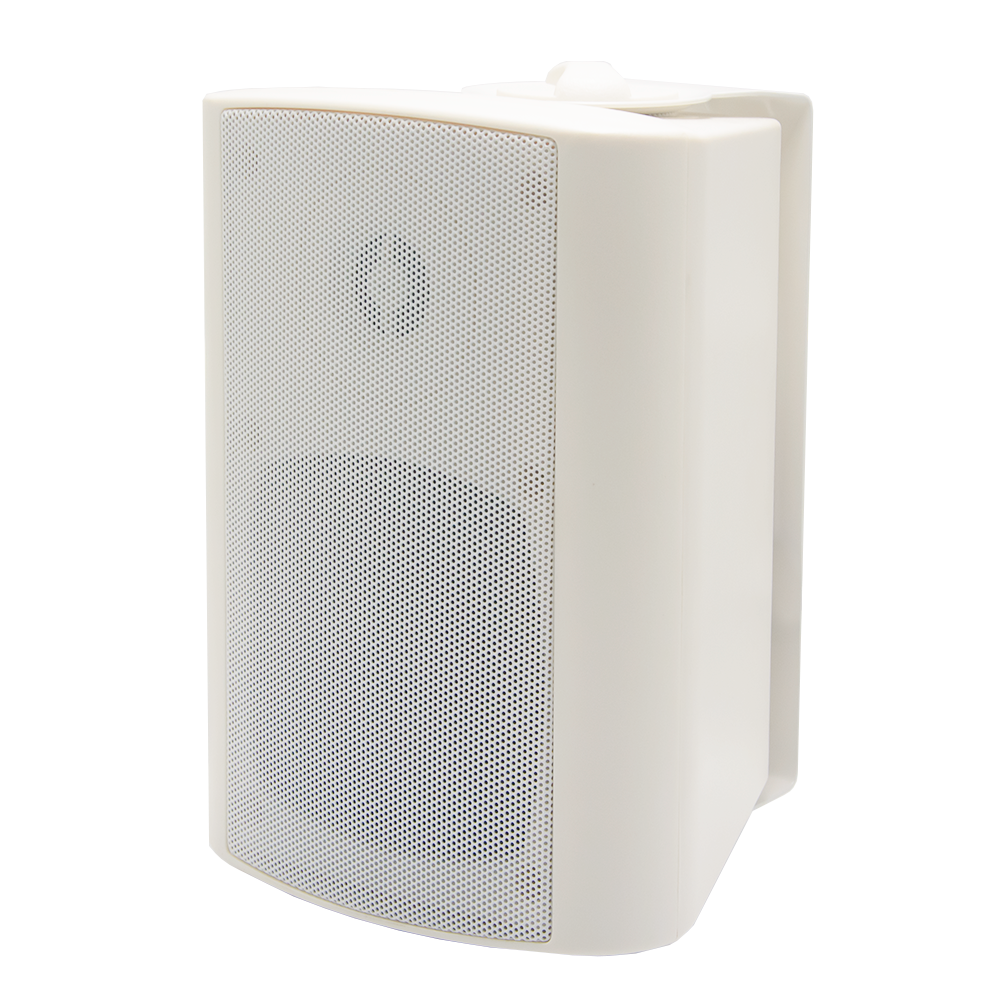 SIP Speaker W20
