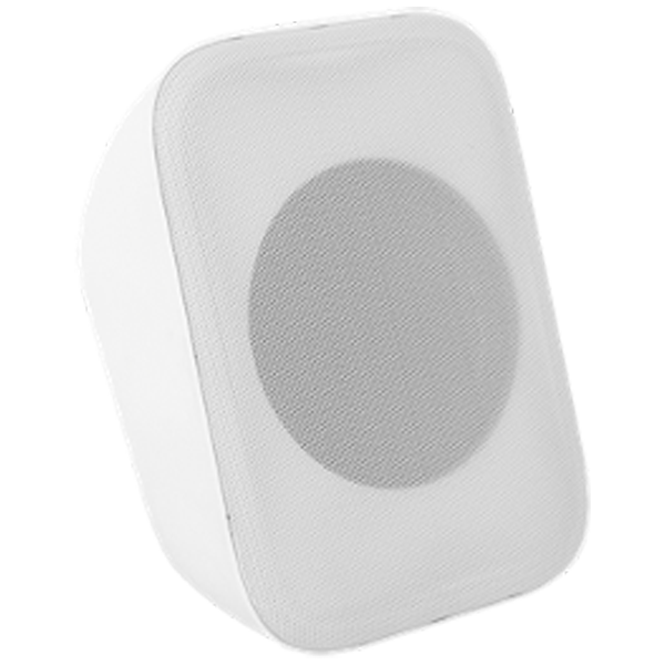 SIP Cabinet Speaker W20