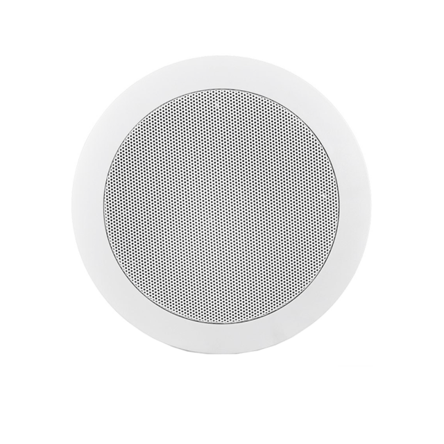 SIP Ceiling Speaker C20