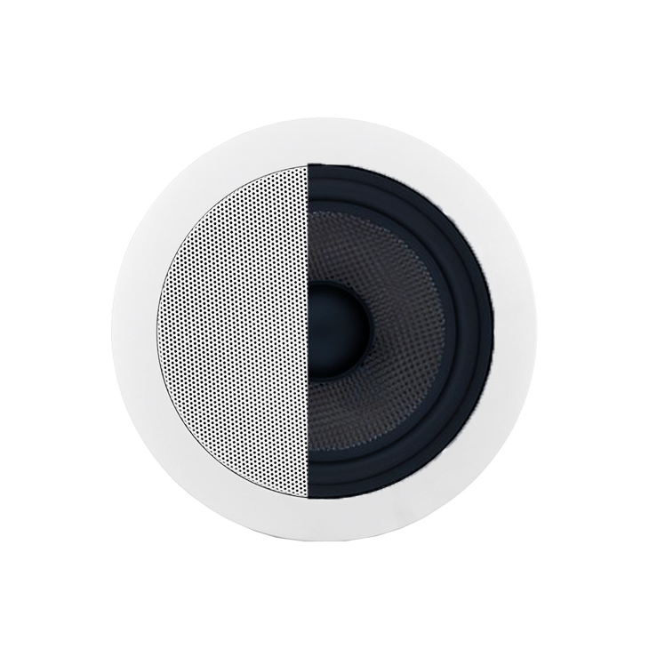 SIP Ceiling Speaker C20