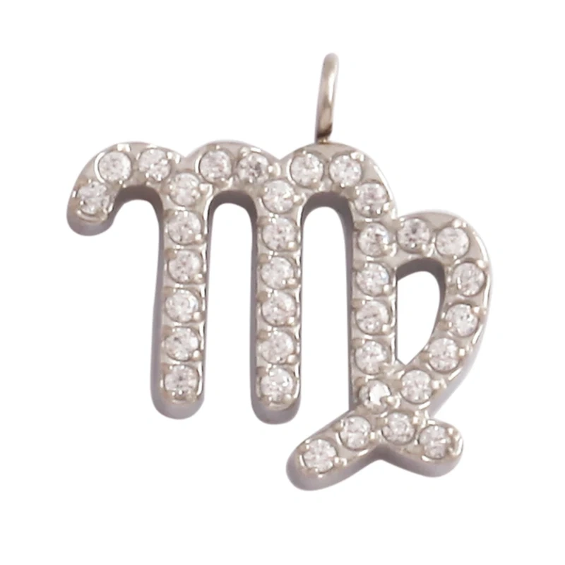 Trendy Charm Zodiac Horoscope Sign Medallion Pendant,316 Stainless Steel Sparkle for Necklace Bracelet Jewelry Making Supplies
