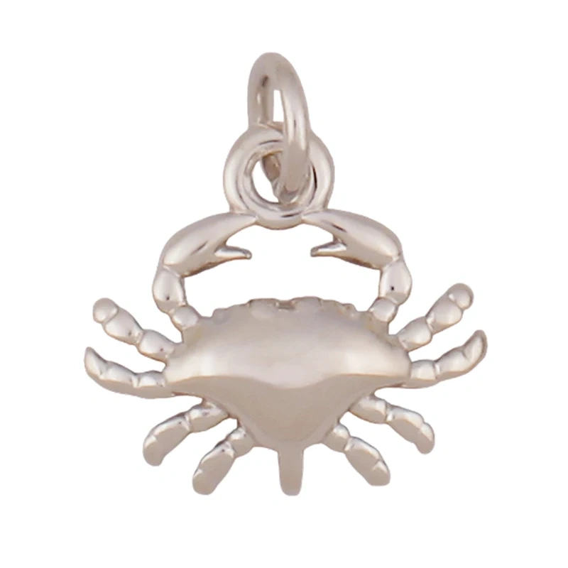 Brass Charm Mini Pendant Starfish Seahorse Shell Turtle Crab, DIYJewelry Making Supplies Accessories S49
