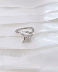 1069-1016 H1 - Platinum