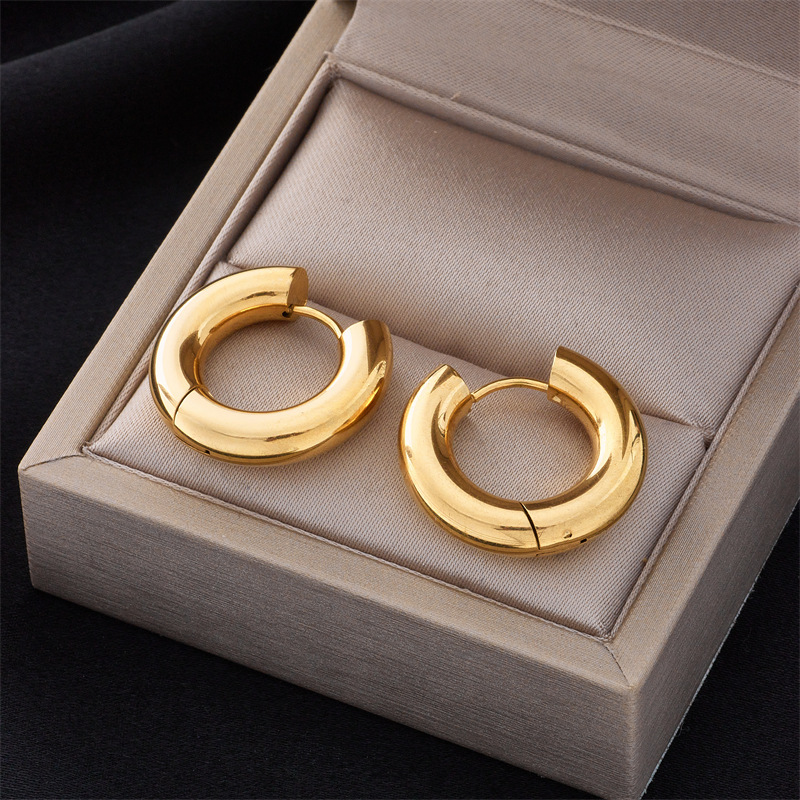 European and American style minimalist ins style metal titanium steel niche design cool temperament versatile hoop earrings