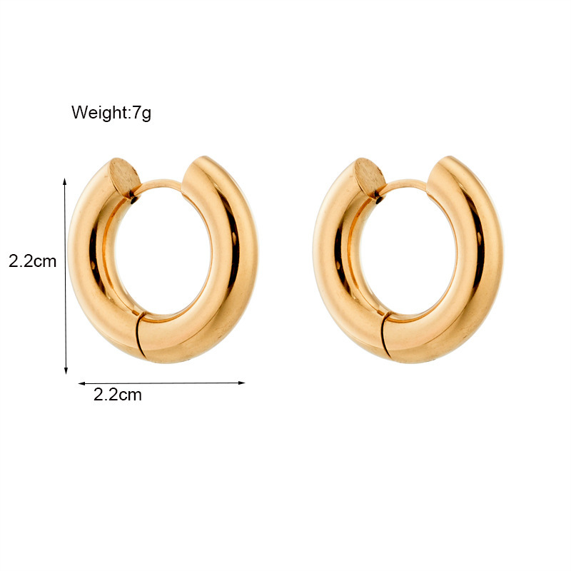 European and American style minimalist ins style metal titanium steel niche design cool temperament versatile hoop earrings