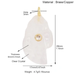 R461101Y7-Clear Cr