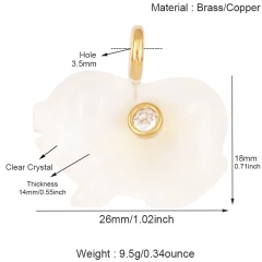 R882420Y7-Clear