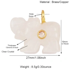 R882411Y7-Clear