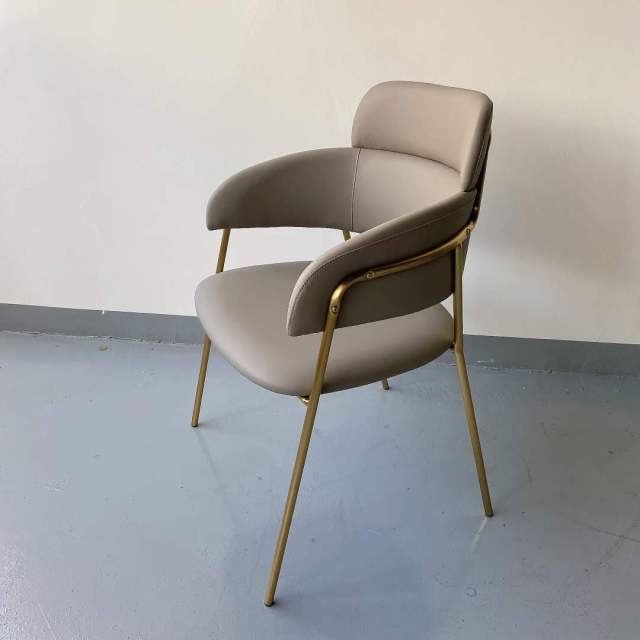 stainless steel dining chair