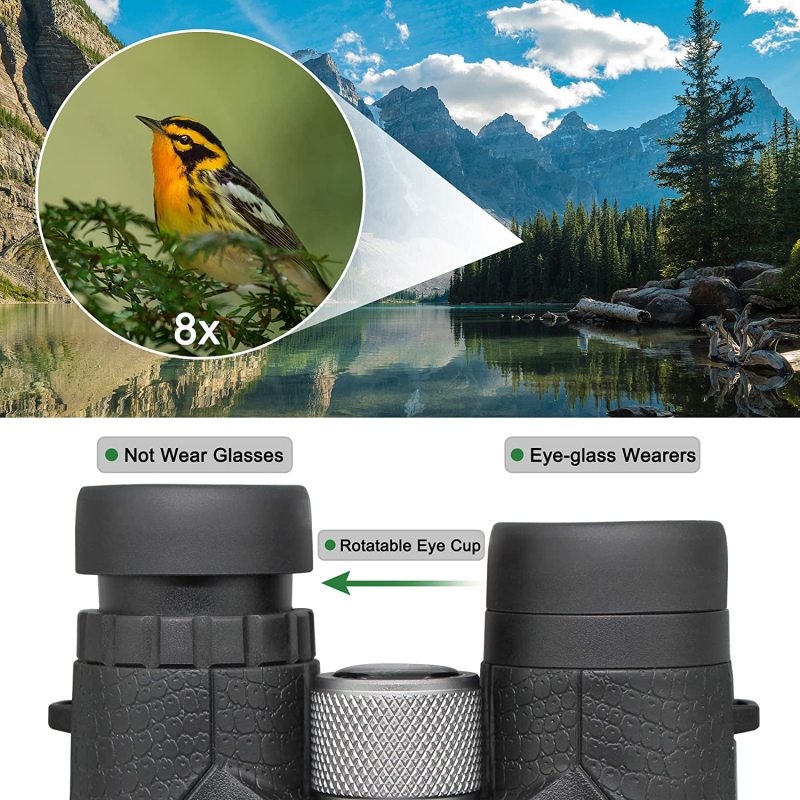 Astromania 8x42 Compact Binoculars -BK7 Prism -Gifts for Adults and Kids, for Bird Watching, Camping and Sport Games, Concerts and Theater