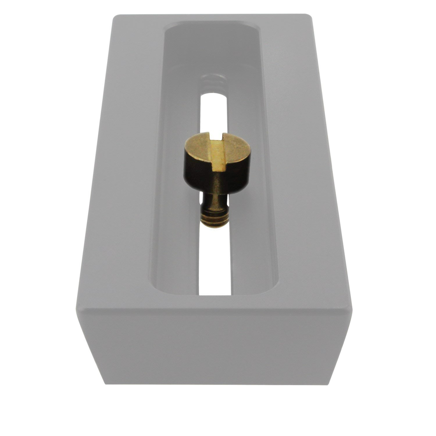 Astromania 1/4" Screw for Short Full Aluminum Prism Rail - Length 120MM