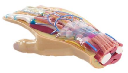 3D Printing Prototypes Medical Parts