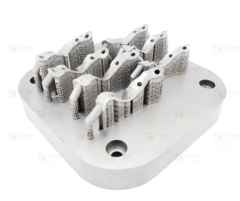 3D Printing SLM Material CoCr