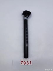 seat post