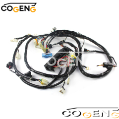 COGENG 207-06-68120 Komatsu Wiring Harness | Direct OEM Replacement for PC300LC-6LC PC400LC-6,Excavator Solenoid Valve | Excavator Pressure Switch | Excavator Revolution Sensor | Excavator Wiring Harness | Excavator Throttle Motor --- COGENG High-Qulity Parts Service GAOGENG Provider,Internal Wiring Harness 207-06-68120 / 2070668120 for Komatsu PC300-6 PC400-6 Excavator | COGENG