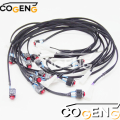 COGENG 207-06-71170 Komatsu Wiring Harness | Direct OEM Replacement for PC360-7 PC1250-7 PC450LC-7,Excavator Solenoid Valve | Excavator Pressure Switch | Excavator Revolution Sensor | Excavator Wiring Harness | Excavator Throttle Motor --- COGENG High-Qulity Parts Service GAOGENG Provider,Console Key Switch Wiring Harness 207-06-71170 / 2070671170 for Komatsu PC360-7 PC1250-7 PC450LC-7 Excavator | COGENG