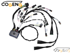 COGENG 230-6279 Caterpillar Wiring Harness | Direct OEM Replacement for CAT C-9 330C 330CFM,Excavator Solenoid Valve | Excavator Pressure Switch | Excavator Revolution Sensor | Excavator Wiring Harness | Excavator Throttle Motor --- COGENG High-Qulity Parts Service GAOGENG Provider,Engine Wiring Harness Assembly 230-6279 (CA2306279) for Caterpillar CAT C-9 Engine | Fits CAT 330C, 330C FM Excavators | COGENG Aftermarket