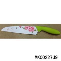 PAINTING CHEF KNIFE