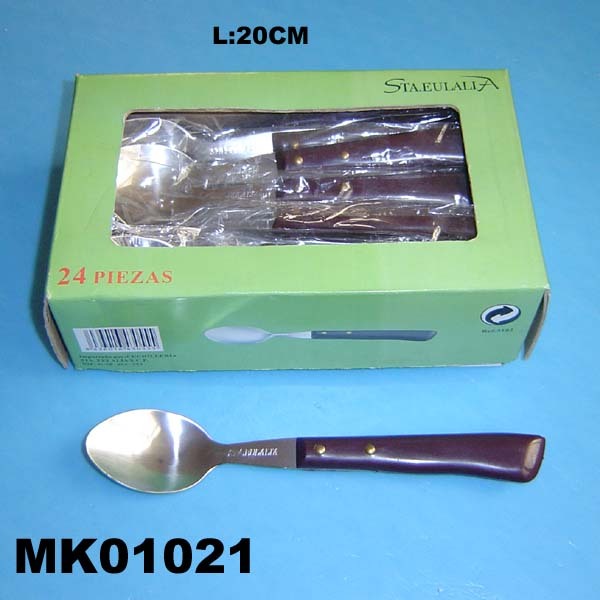 24PCS SS SPOON with PLASTIC Handle