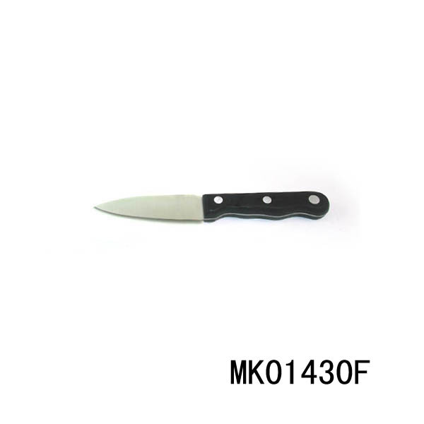 3in SS FRUIT KNIFE style 2