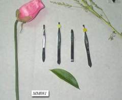 BEAUTY TWEEZER style 2