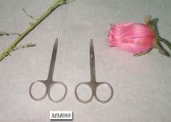 BEAUTY SCISSORS style 2