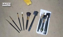 BEAUTY BRUSH in PVC BAG