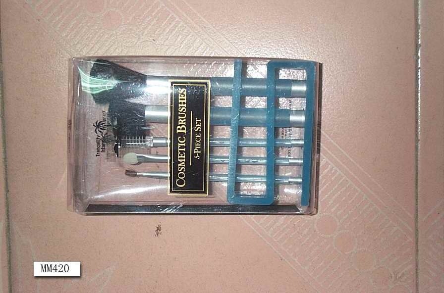 5PCS BEAUTY BRUSH in PVC BAG style 2
