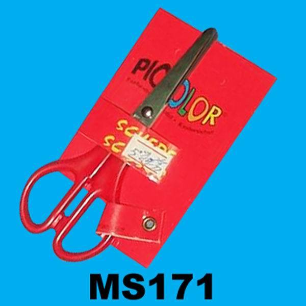 SCISSORS IN CARD