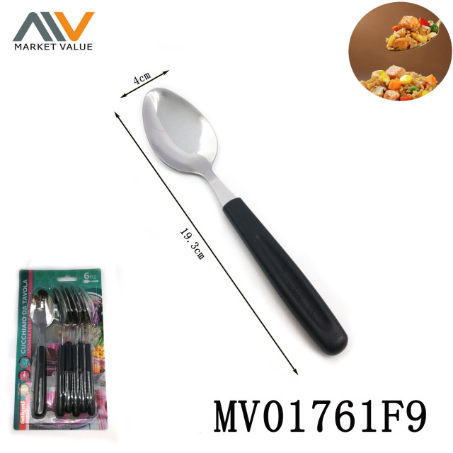 SET of 6 Pcs SS Dinner Spoon with PP Handle style 2