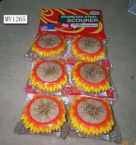 6PCS SS SCOURERS