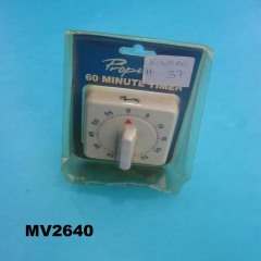 60 MINUTE TIMER style 2