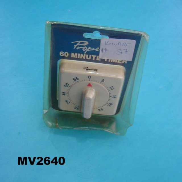 60 MINUTE TIMER style 2