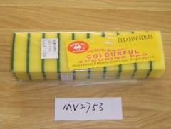 10PCS SPONGE SET
