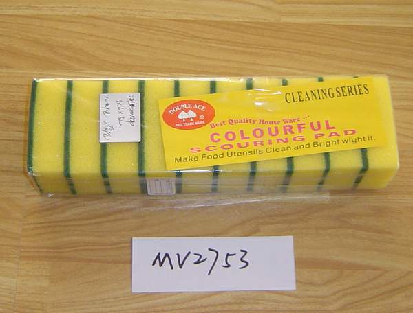 10PCS SPONGE SET