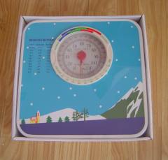 HEALTH SCALE