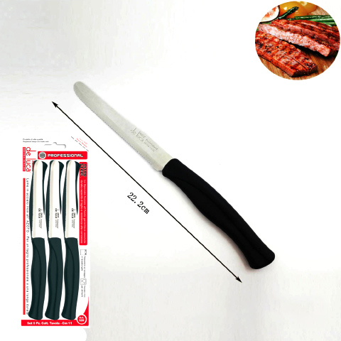 Steak and Dinner Knife with PP Handle