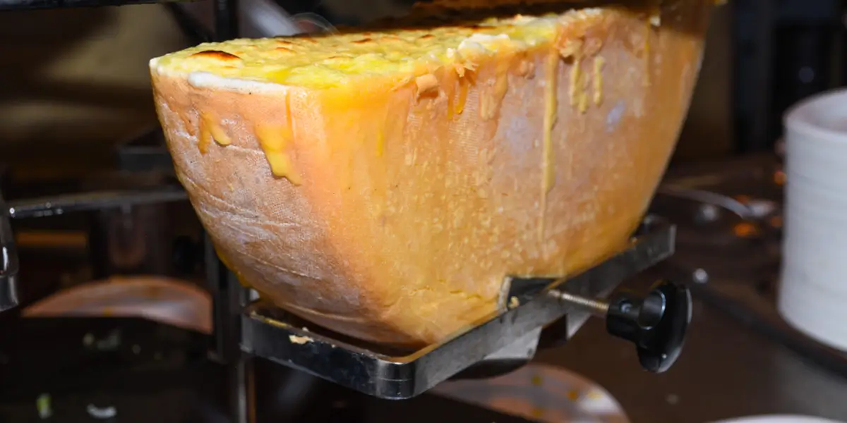 a large wheel of cheese traditional Raclette
