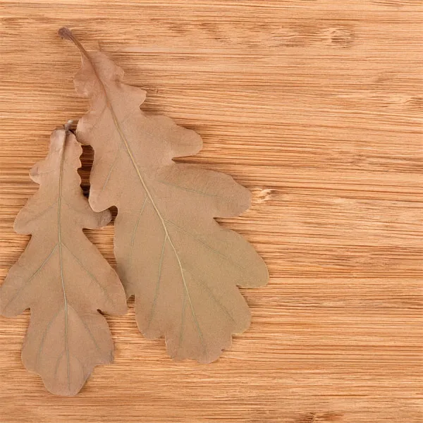 Oak
