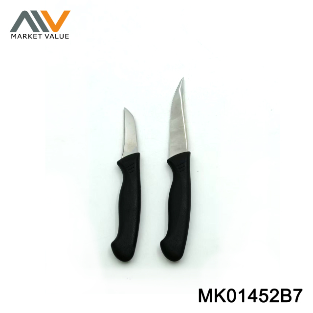 Set of 2 Fruit knife Set pp Handle BC