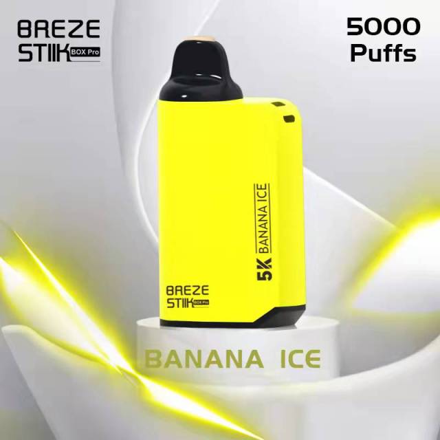 BREZE STIIK Box Pro 5000