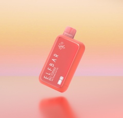 ELFBAR-BC10000