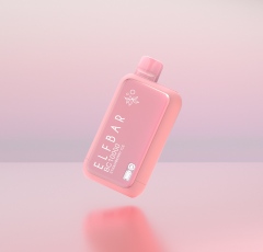 ELFBAR BC10000