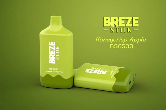 BREZE STIIK BS6500