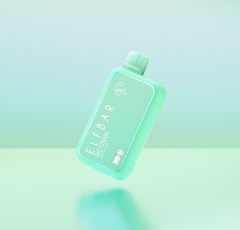 ELFBAR BC10000
