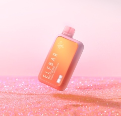 ELFBAR-BC10000