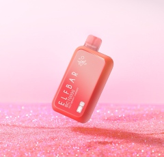ELFBAR-BC10000