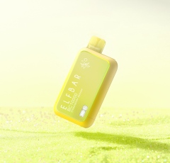 ELFBAR-BC10000