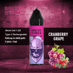 Breze stiik fit